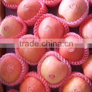 Supply Chinese Fuji Apples thumbnail-1