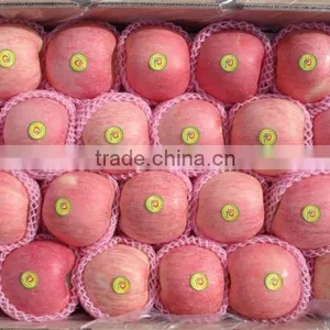 2011 New Crop Crop Fuji Apple thumbnail-1