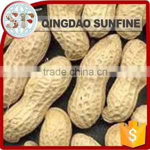 Crispy Organic Roasted Peanuts in Shell thumbnail-3