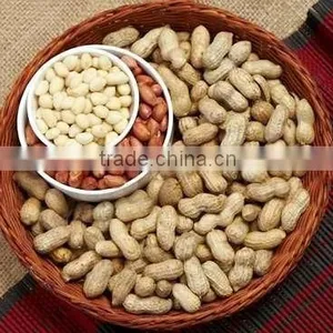 Peanuts in Shell thumbnail-1