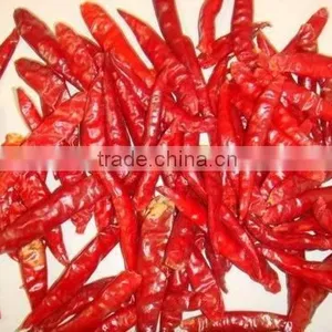 BEST QUALITY HOT RED CHILI FOR SUPPLY thumbnail-5