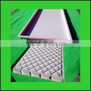 PE Material Plant Growing Trays/plastic Flower Pot Trays thumbnail-1