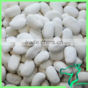 Large White Kidney Beans Current Beans Make Soup thumbnail-1