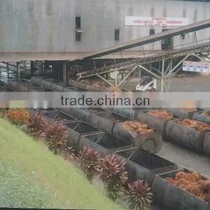 Africa Hottest Palm Oil Refining Machine/palm Oil Refinery Plant/palm Oil Fraction Machine With ISO&CE&BV thumbnail-1