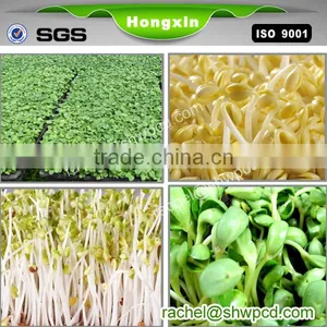 Bean/barley Sprout Making Machine for Sale thumbnail-1