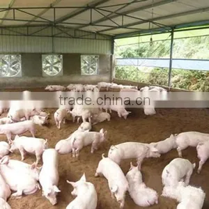Large Multi-span Pig Greenhouse , Pig House , Fiberglass Shed thumbnail-1