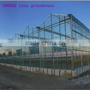 Greenhouses for Mushroom thumbnail-1