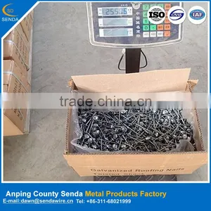 BWG9*2" Galvanized Roofing Nails/ Package According to Customer's Requirement thumbnail-2
