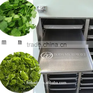Commercial Fruit Dehydrator / Small Commercial Fruit Drying Machine thumbnail-1