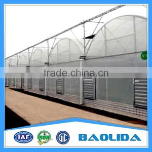 6m/8m/9/Arch Roof Greenhouse For Vegetables With Side Ventilation Covered By Plastic Film thumbnail-2