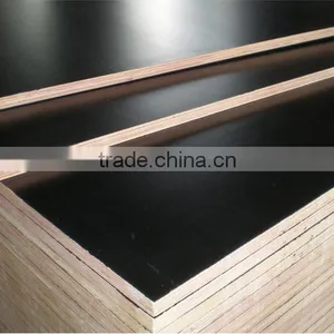 4x8" Waterproof Plywood Brown Film Faced Plywood thumbnail-4