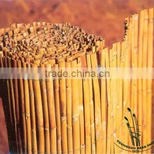 Natural Bamboo Reed Fence for Garden thumbnail-3