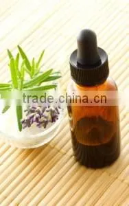 Rosemary Oil thumbnail-6