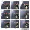 Pattern Glass thumbnail-1