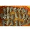 Ginseng Extract thumbnail-1