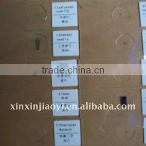 10pcs Student Teaching Microscope Educational Slides thumbnail-1