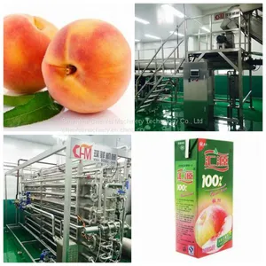 Fruit Juice Processing Line thumbnail-1