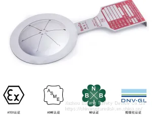 Rupture Disc Device,bursting Disc, thumbnail-1