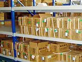 Dongguan Qingchuanlong Electronic Technology Co., Ltd. company overview - view 3 thumbnail