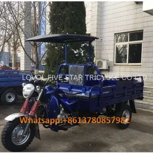 Gasoline Tricycle Cargo Loader Lovol Three Wheeler Mali Ethiopia Ghana Bukina Faso Tanzania Kenya Senegal Togo Benin Nigeira Mauritania Angola Burundi Chad Cameroon C ô te D'Ivoire Gabon Guinea Mozambique Rwanda Congo Uganda Zimbabwe thumbnail-2