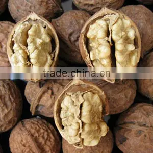 Grade Shell Walnuts Chinese Walnuts Light Walnut Kenel thumbnail-1
