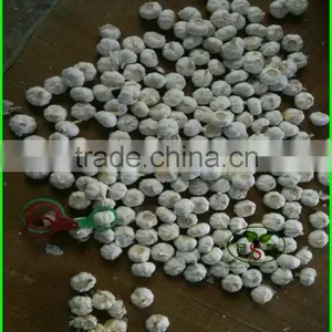 (HOT) GARLIC/FRESH GARLIC Size: 5.5 CM or More thumbnail-1