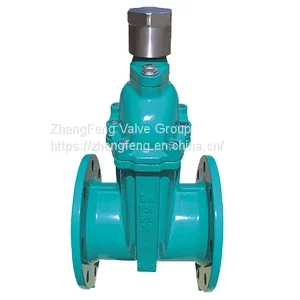 Resilient Gate Valve With Magnetic Lock thumbnail-1
