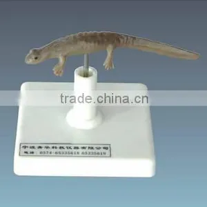 Model of Northmost Little Fish thumbnail-1