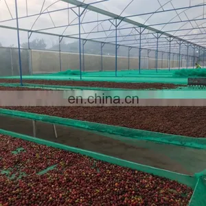 Coffee Beans thumbnail-3
