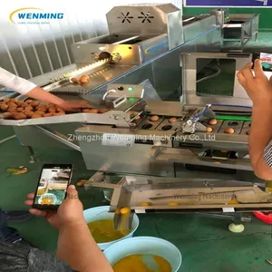Automatic Egg White Separator Machine Line-Egg Washer-breaker-separator Machine thumbnail-5