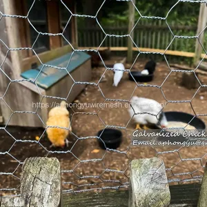 Chicken Wire Hexagonal Wire Mesh Chicken Wire Netting Wire Netting Poultry Fence Poultry Mesh thumbnail-5