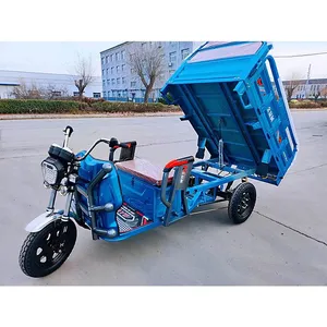 60-72V 1000W Super Motor Electric Pedicab Carrier Delivery Tricycle 3 Wheel Motorcycle thumbnail-2