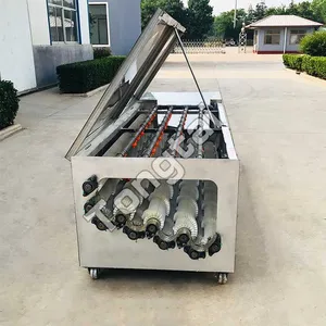 Daikon Cleaning Machine Automatic Radish Washing Machine thumbnail-3