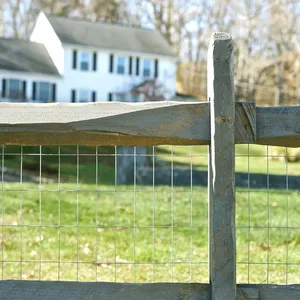 Hot Dipped Electro Galvanized Stainless Steel Welded Wire Mesh With PVC Coating thumbnail-4