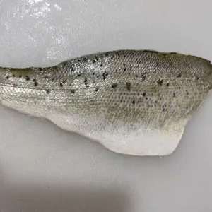 Sea Bass - Barramundi - Tilapia - Red Drum Fish - Crisp Grass Carp - Snakehead Fish - Golden Pomfret - Mackerel thumbnail-2
