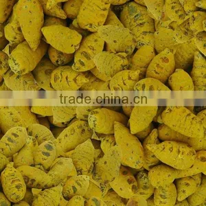Turmeric From South India thumbnail-1
