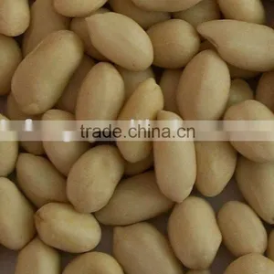 New Crop Blanched Peanut Kernel thumbnail-1