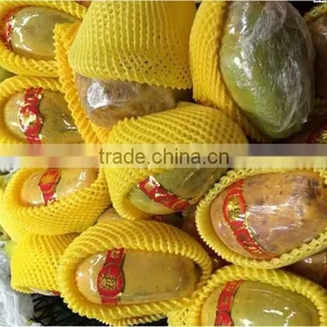 High Quality Soft Foam Net, Strawberry Net Wrappers, PE Foam Flower Bud Protective Netting thumbnail-5