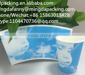 Chinese Manufacturer Food Grade pe Coated Disposable Paper Cup Sheet thumbnail-5