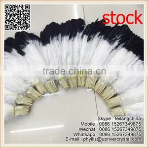 Factory Wholesale Price Natural Wite Black Tip Large Turkey Feather thumbnail-1