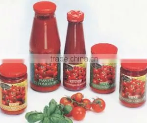 Sweetener for Tomato Paste thumbnail-1