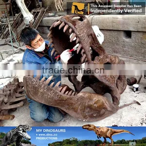 MY Dino-C085 Resin Dinosaur Head Skeleton thumbnail-2