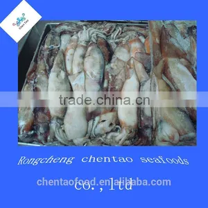 BQF Argentina Squid Frozen Squid for Sale in Weihai thumbnail-1