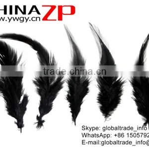 Leading Supplier CHINAZP Bulk Sale DIY High Quality Dyed Black Chicken Rooster Saddle Feathers thumbnail-2