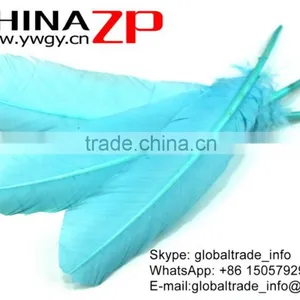 CHINAZP Feather Exporting Good Quality Dyed Light Blue Wild Solid Color Turkey Pointers Wing Quill Feathers thumbnail-2