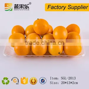 Cheap Clear Disposable PET Plastic Food Fruit Packaging Tray thumbnail-3