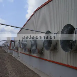 Exhausted Fans for Poultry House thumbnail-1