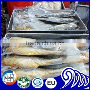 Export Frozen Whole Small Yellow Croaker Fish thumbnail-3