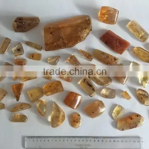 Colombian Amber (Copal) - Polished With Insects thumbnail-2