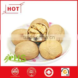 Good Price and Highly Nutritive Walnuts for Sale thumbnail-1